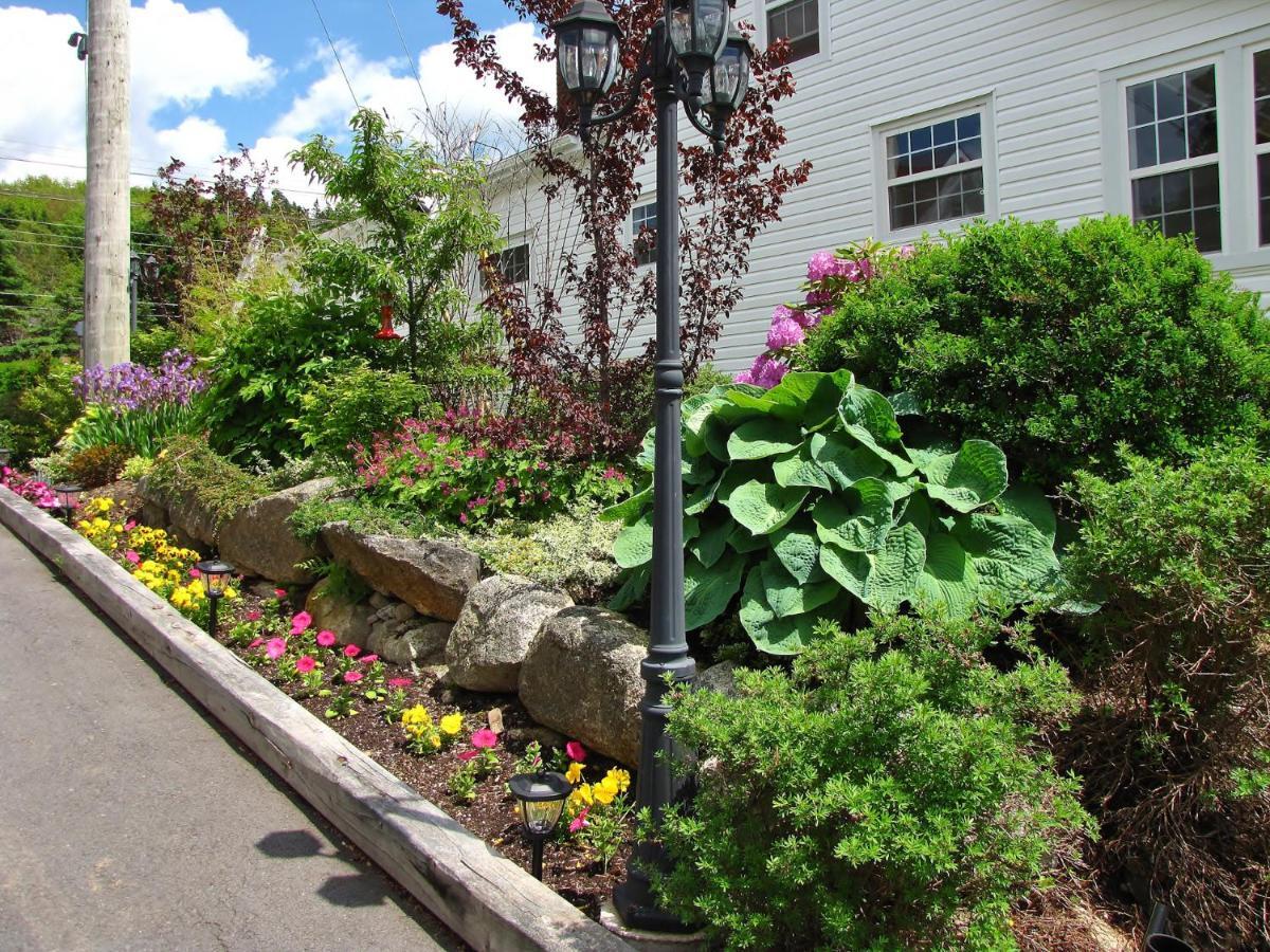 Larinda'S Landing Oceanfront Cottages Halifax Exterior foto